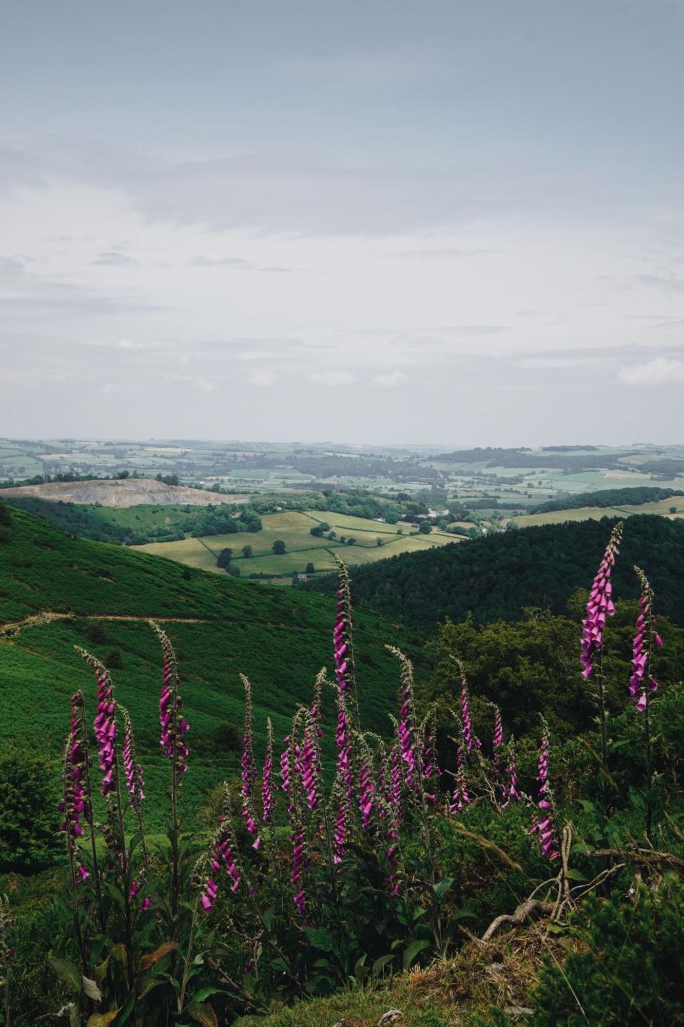 Two Unique Cabins Wrapped In Beautiful Welsh Scenery Presteigne ภายนอก รูปภาพ