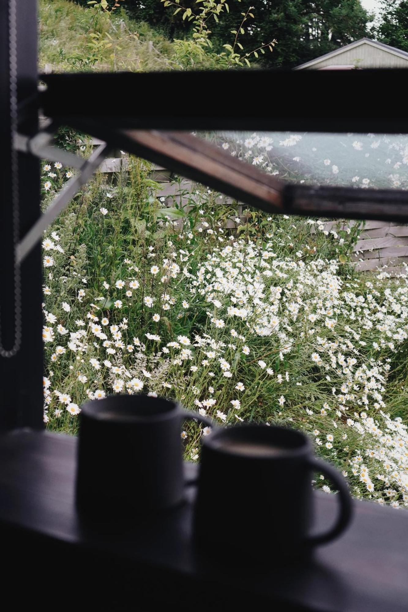 Two Unique Cabins Wrapped In Beautiful Welsh Scenery Presteigne ภายนอก รูปภาพ