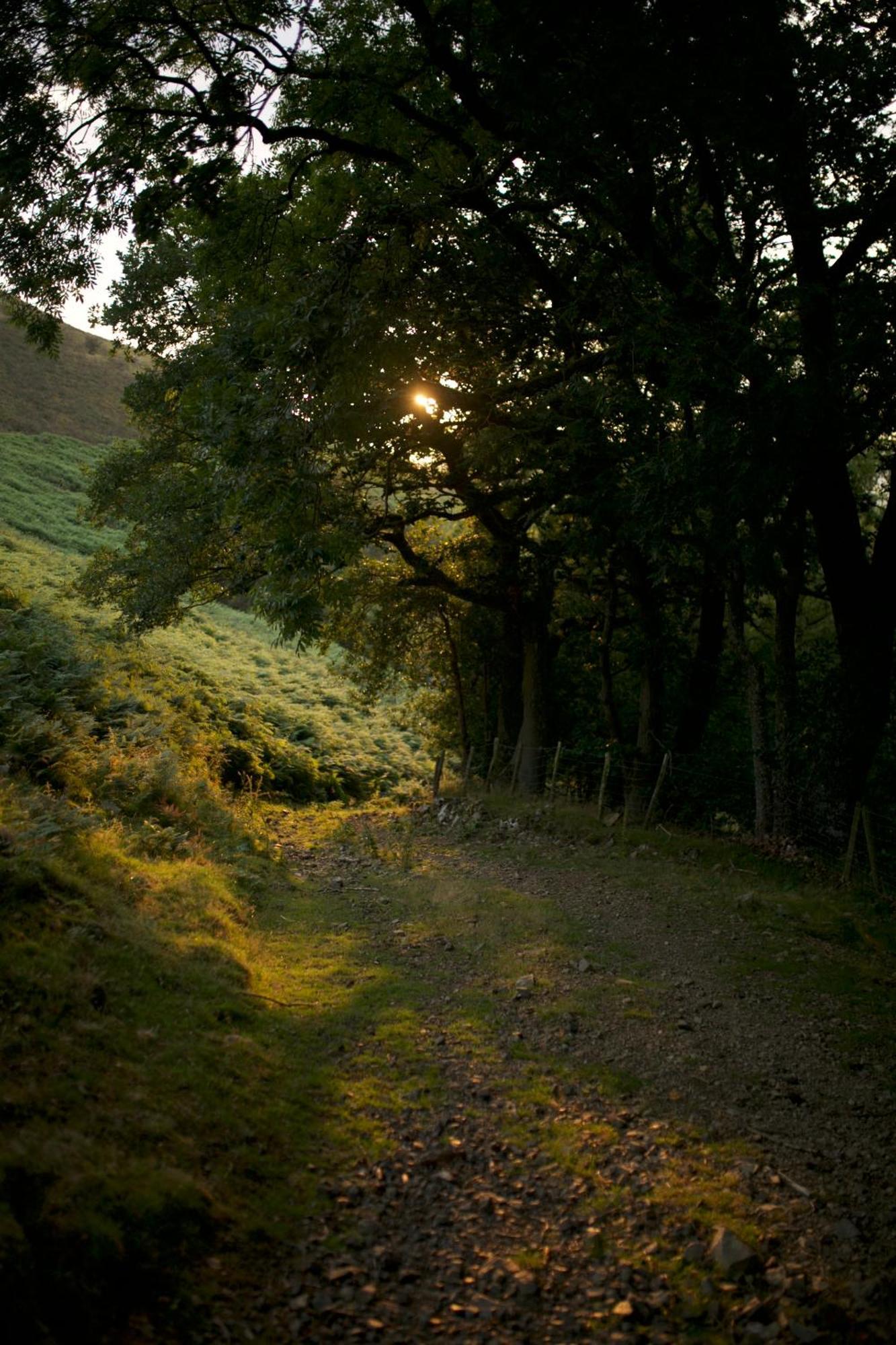 Two Unique Cabins Wrapped In Beautiful Welsh Scenery Presteigne ภายนอก รูปภาพ