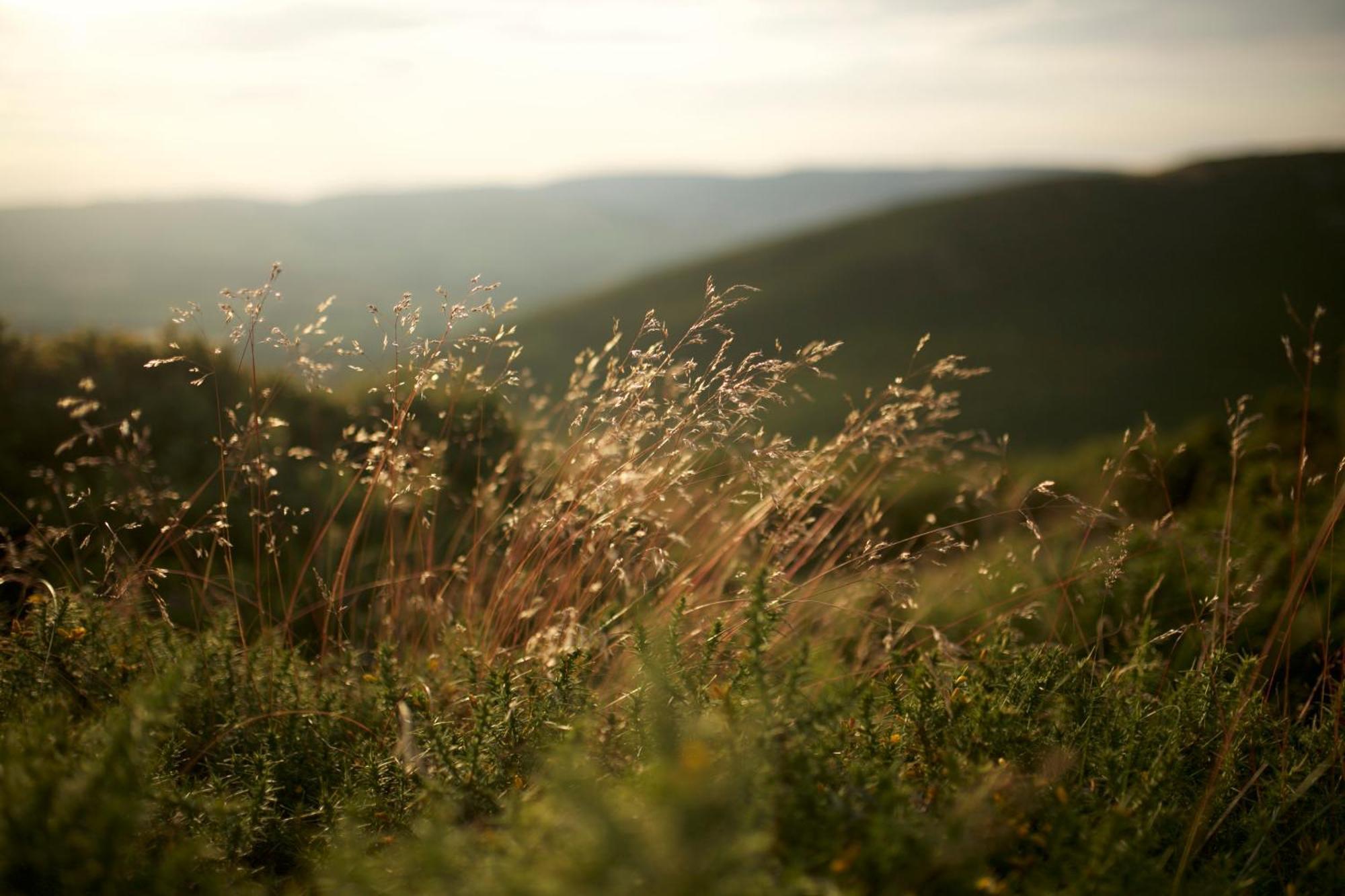 Two Unique Cabins Wrapped In Beautiful Welsh Scenery Presteigne ภายนอก รูปภาพ