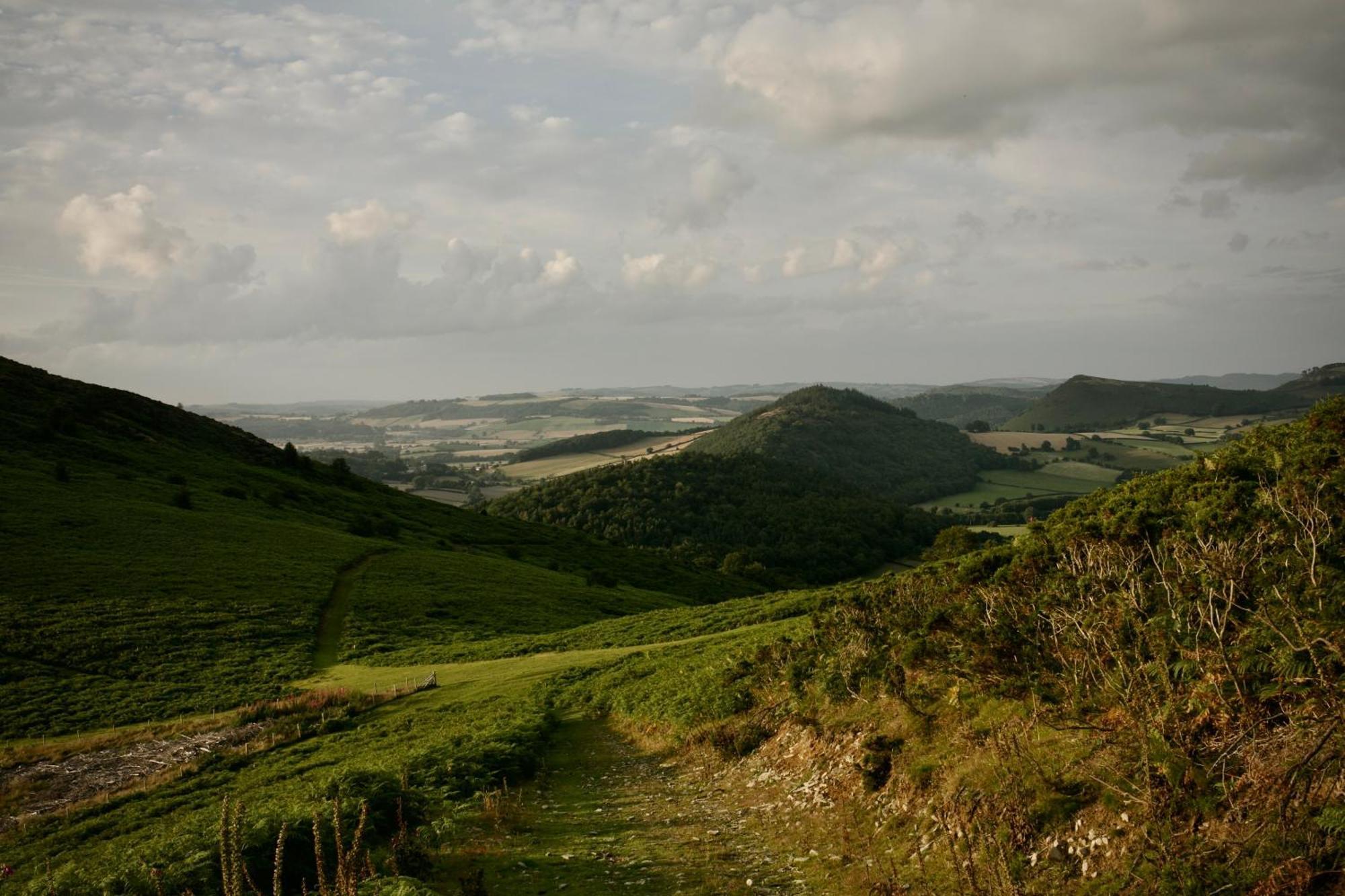 Two Unique Cabins Wrapped In Beautiful Welsh Scenery Presteigne ภายนอก รูปภาพ
