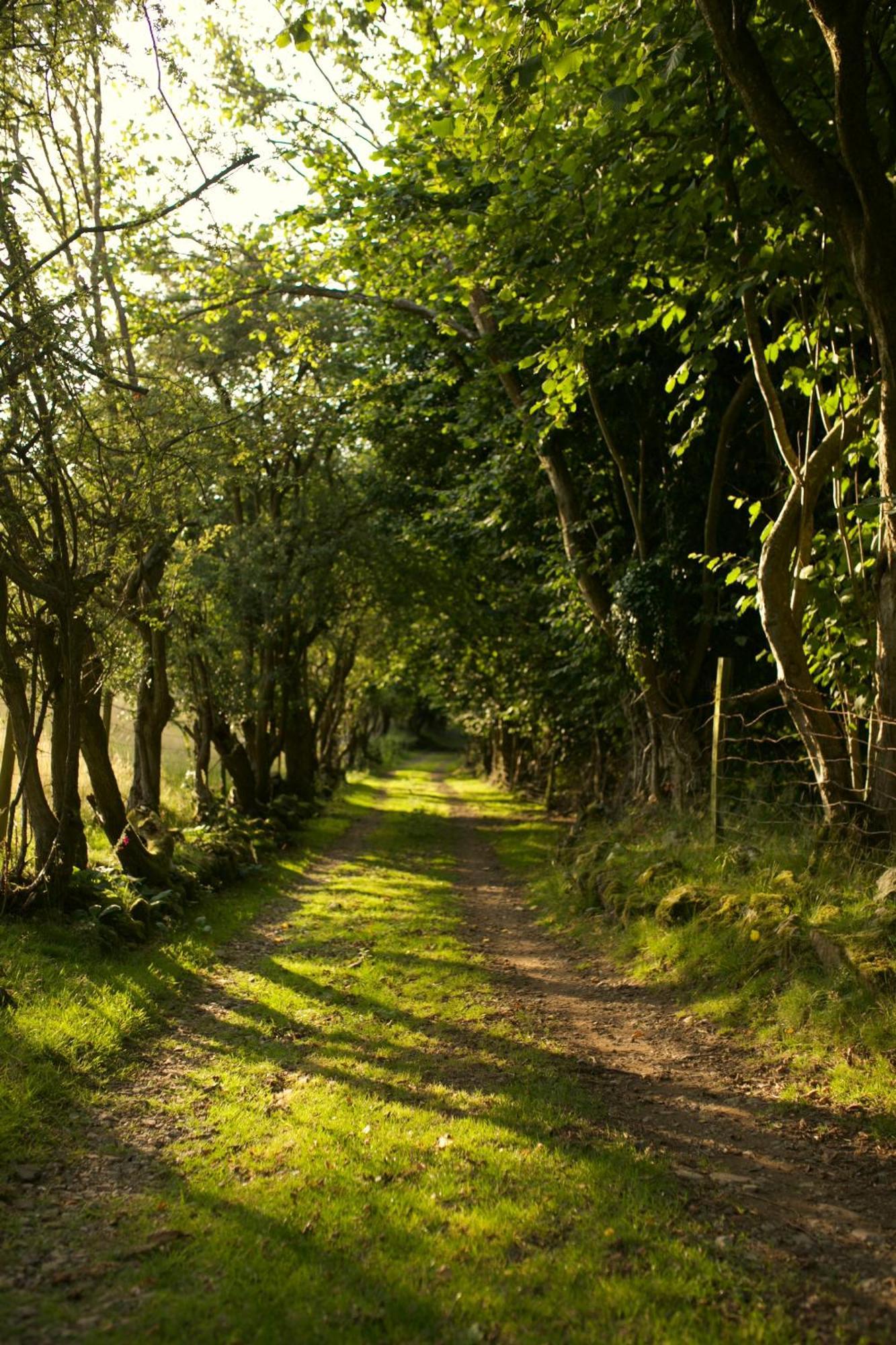 Two Unique Cabins Wrapped In Beautiful Welsh Scenery Presteigne ภายนอก รูปภาพ